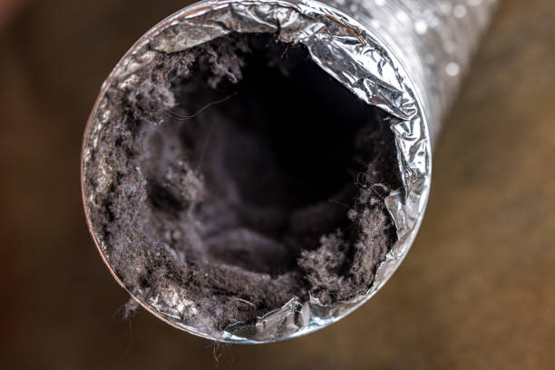 Best Affordable Duct Cleaning Services  in Rushville, IN