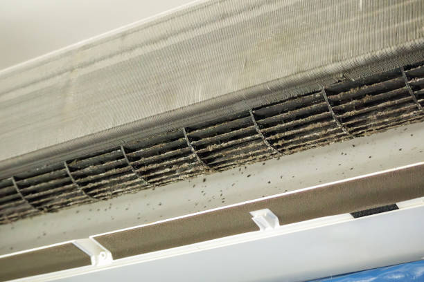 Best Residential Air Duct Cleaning  in Rushville, IN